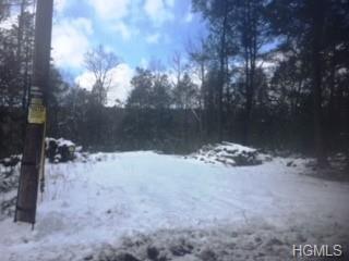 Old Cahoonzie Road - Photo 1