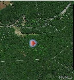 Pine Kill Road - Photo 1