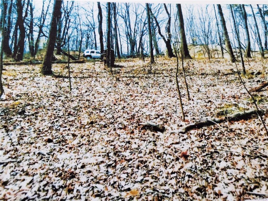 2 Mountain Ridge Road - Photo 1