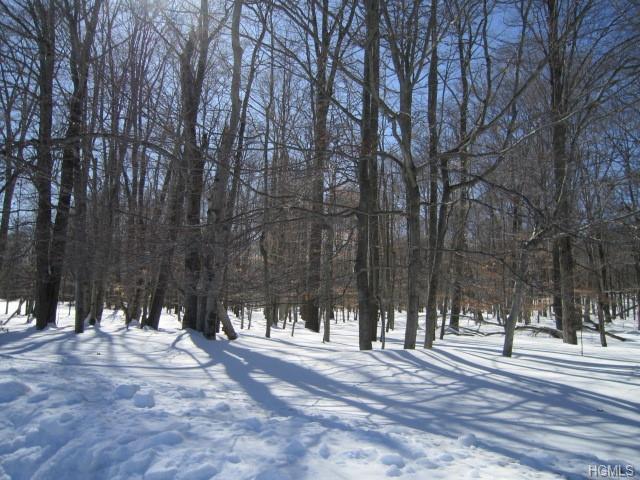 Heiden Road - Photo 1