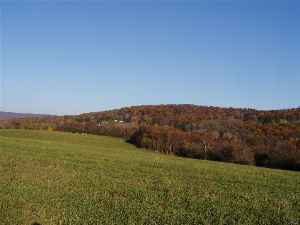 13 Route 216 - Photo 1