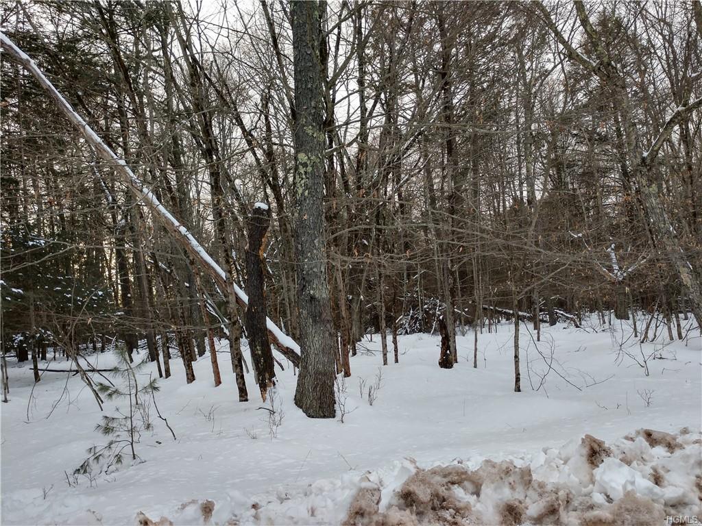 392 Pine Grove Road Tr 45 - Photo 1
