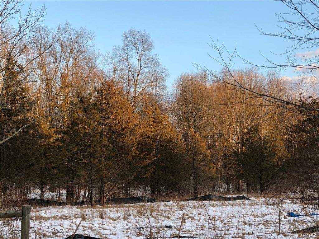 Old White Lake Turnpike Tr 101 - Photo 1