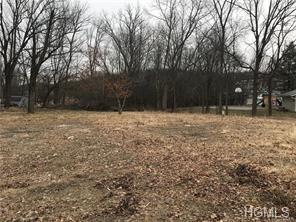 143 Old Minisink Trail - Photo 1