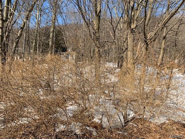 315 Call Hollow Road - Photo 1