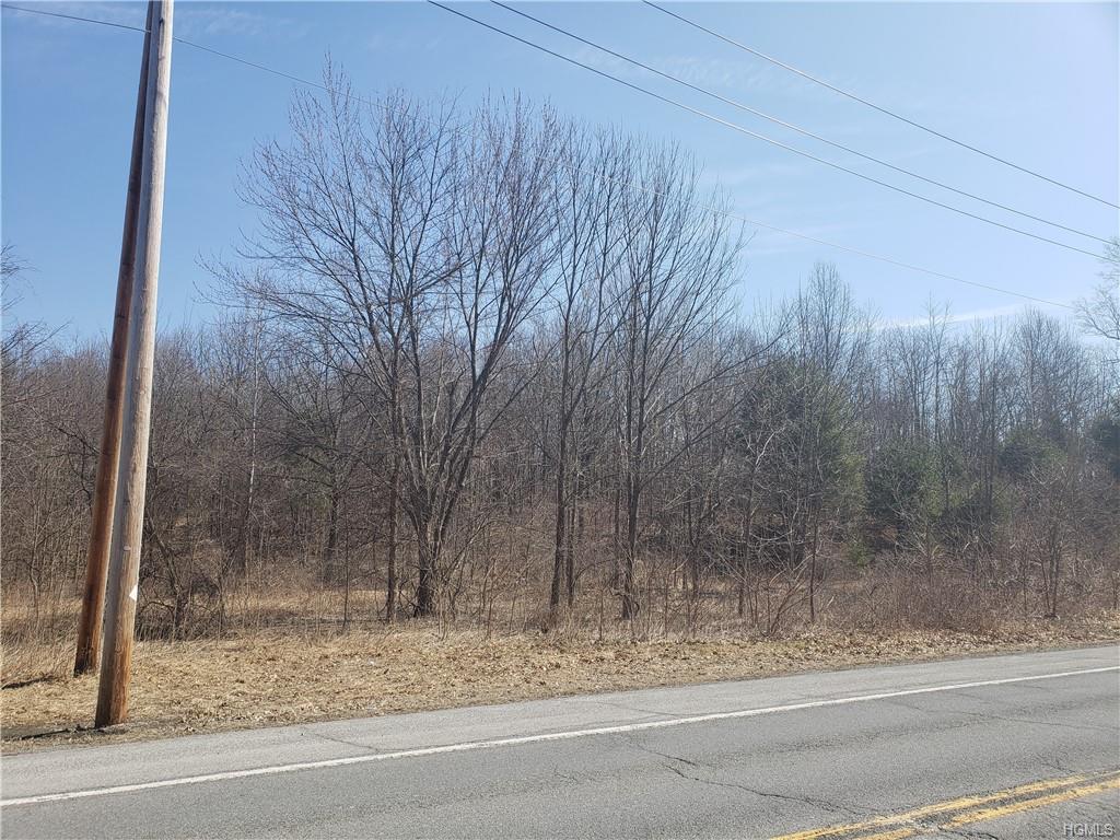 1670 State Route 32 - Photo 1