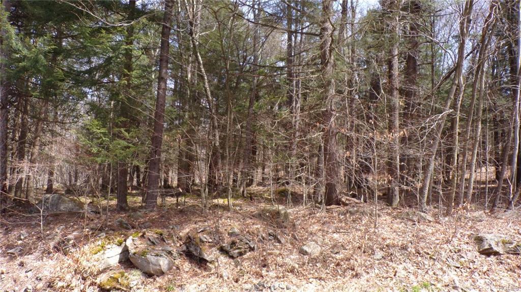 TBD Starlight Rd - Photo 1