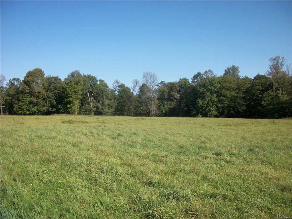 578 Lt Brender Highway - Photo 1