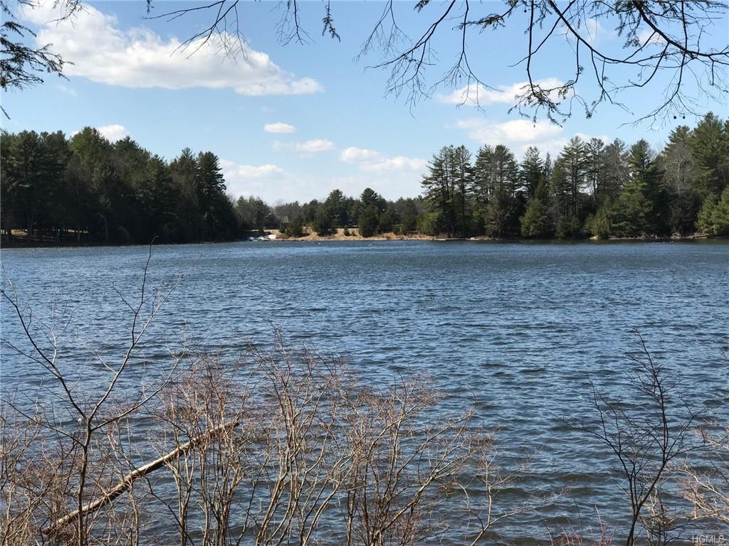 Lot 19 Deer Meadow - Photo 1