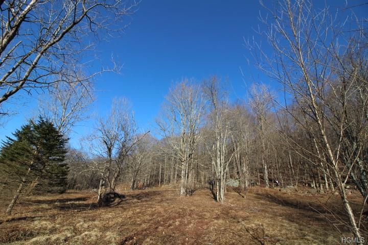 Wegman Road - Photo 1