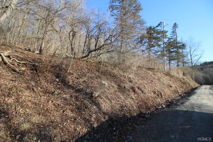 Wegman Road - Photo 1