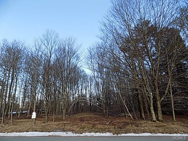 Lt. Brender Hwy - Photo 1