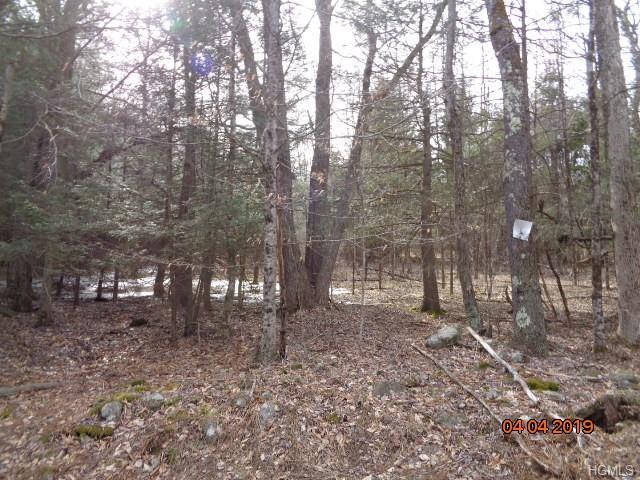 Tr 47/ Murphy Road - Photo 1