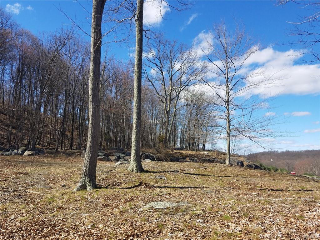 66 Ralphie Lane - Photo 1
