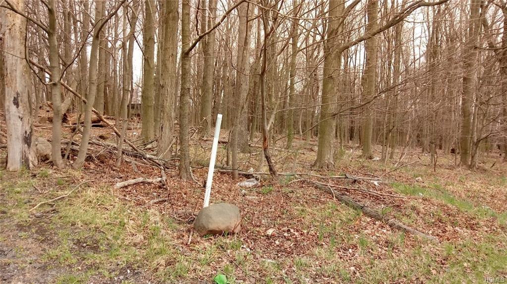 613 Route 303 - Photo 1
