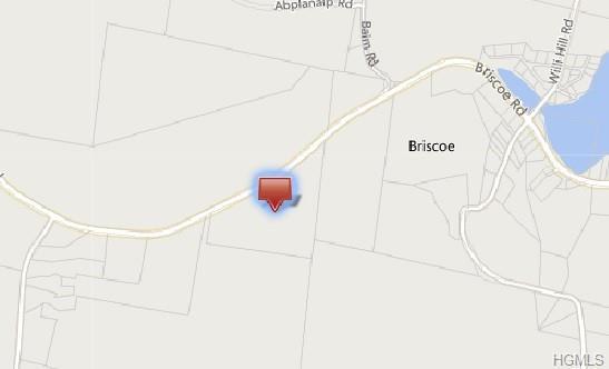Briscoe Road - Photo 1