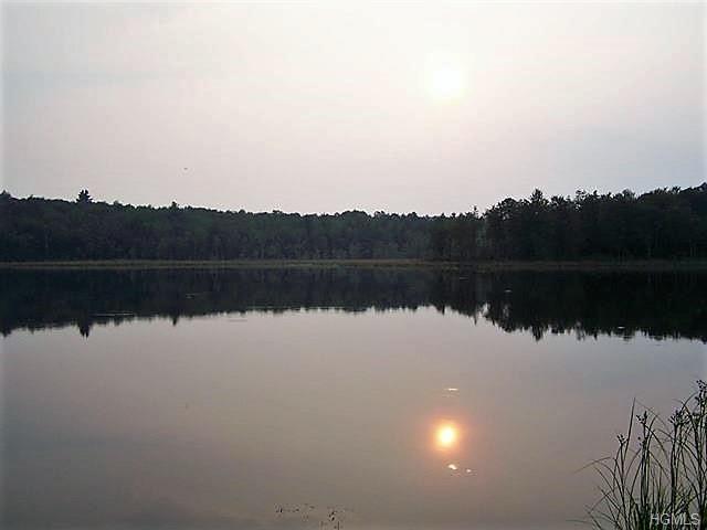 64 Town Road 102B - Photo 1