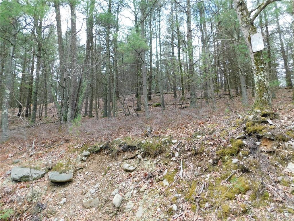 Decker Road - Photo 1