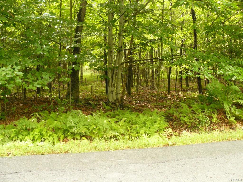 Hurd & Parks Road Tr 47 - Photo 1
