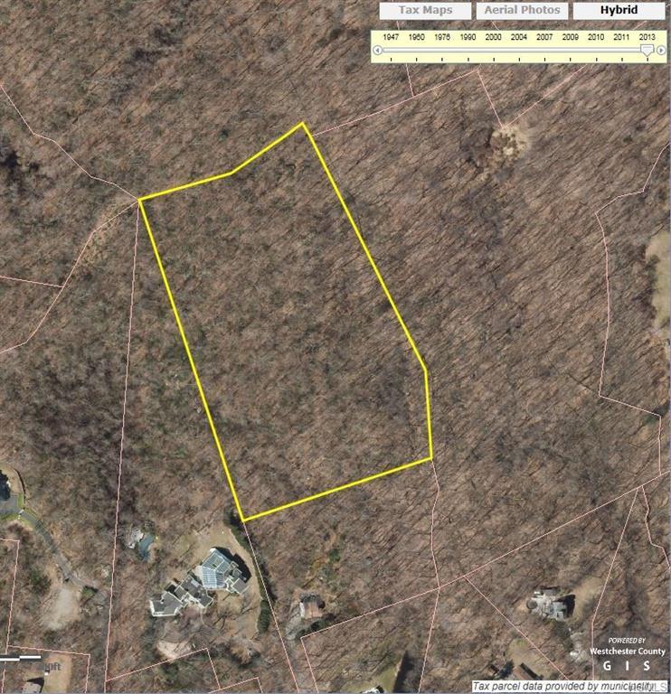 Conant Valley Road - Photo 1