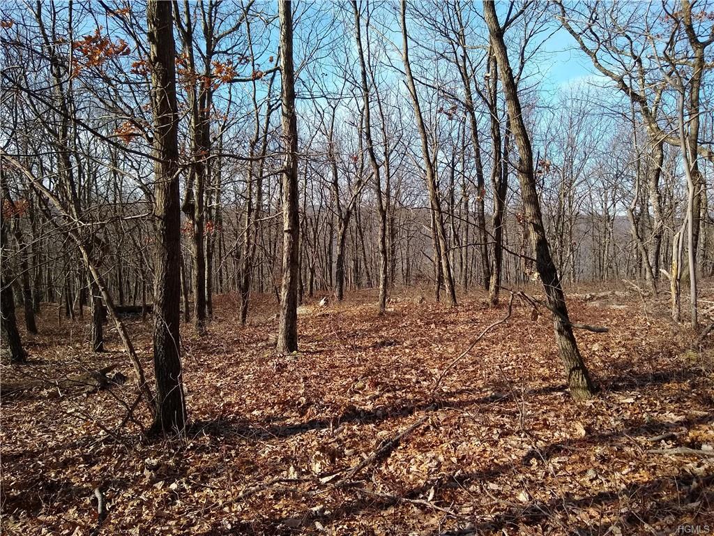St Hwy 17A & 210 - Photo 1