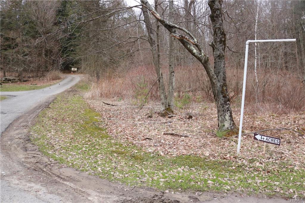 Sawmill Road - Photo 1