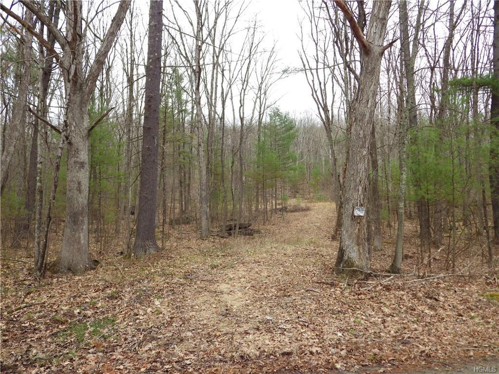 Skinners Falls Road - Photo 1