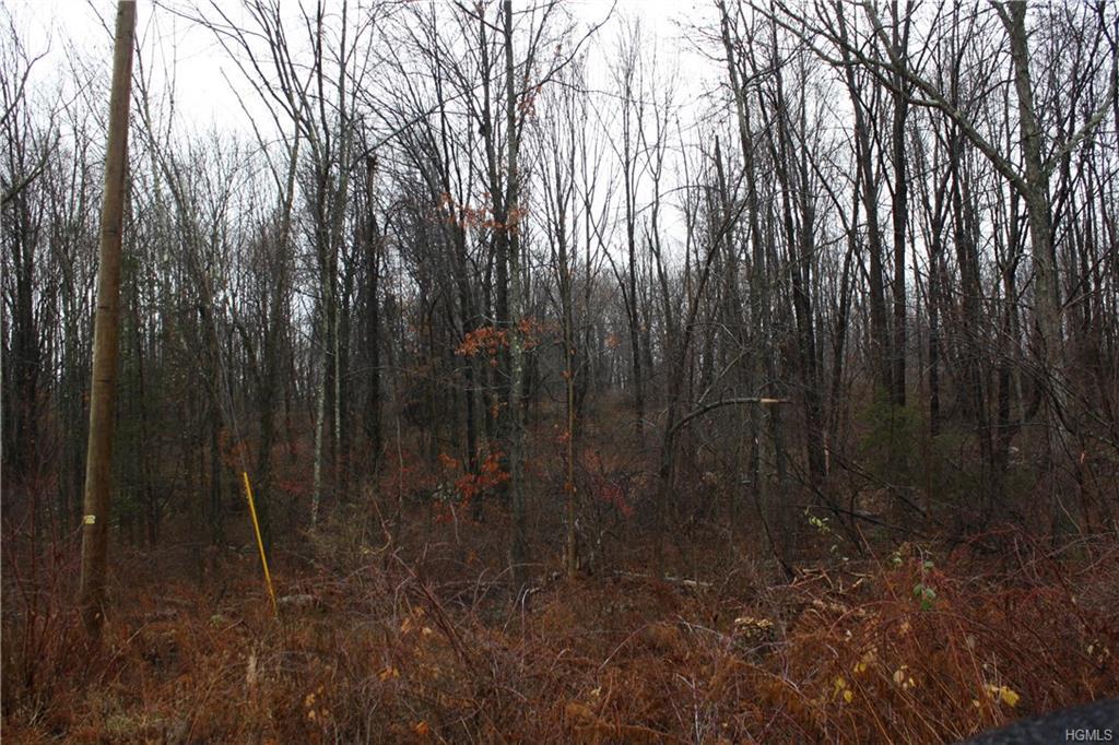 239 Sands Road - Photo 1