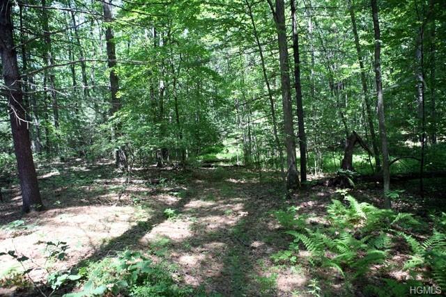 Skinners Falls Road - Photo 1