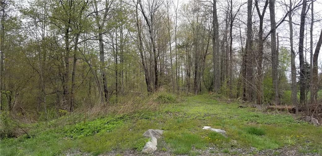 Lot 2 Cronk Road - Photo 1