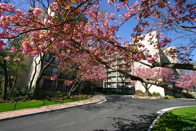 150 Overlook Avenue - Photo 1