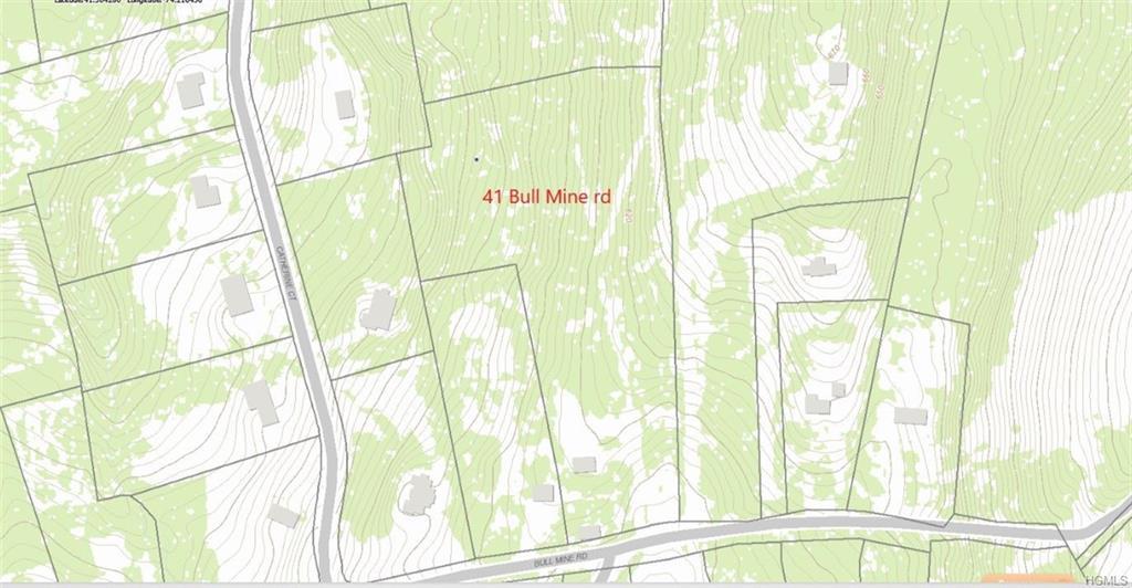 41 Bull Mine Road - Photo 1