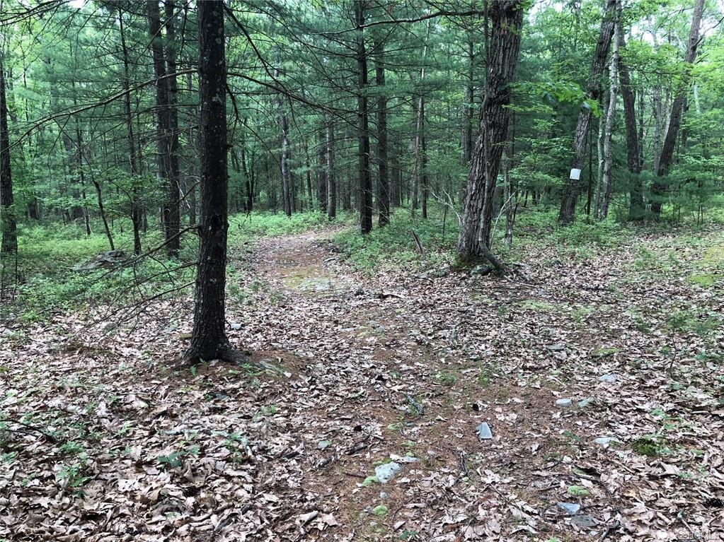 420 Decker Road - Photo 1
