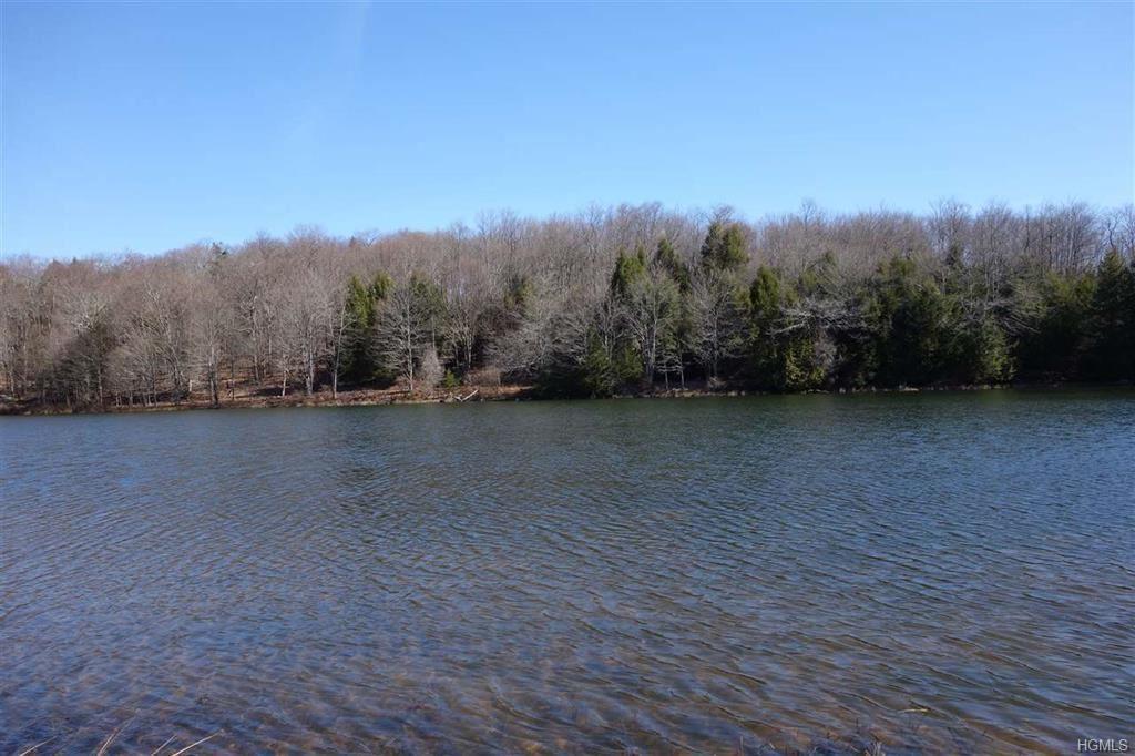 Lot 31 Black Bear Crossing - Photo 1