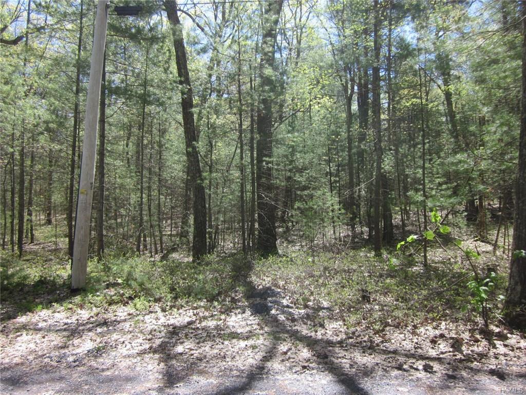 200 Big Lake Road - Photo 1