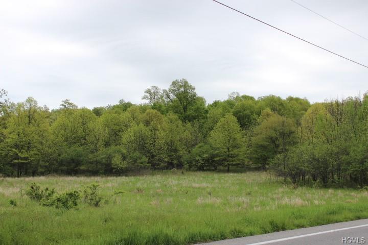 County Hwy 51 - Photo 1