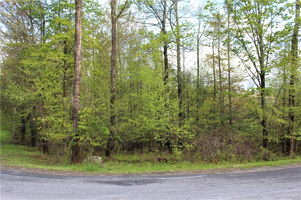 Klothe Drive - Photo 1