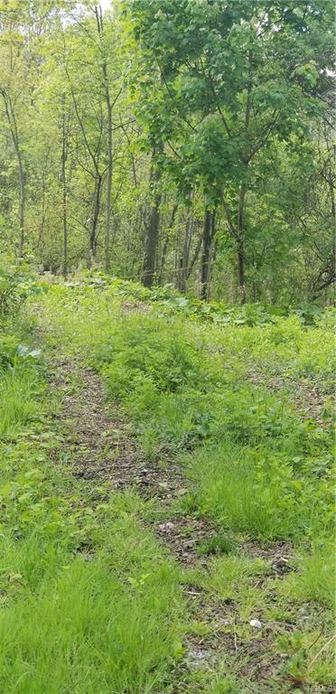 604 Salt Point Turnpike - Photo 1