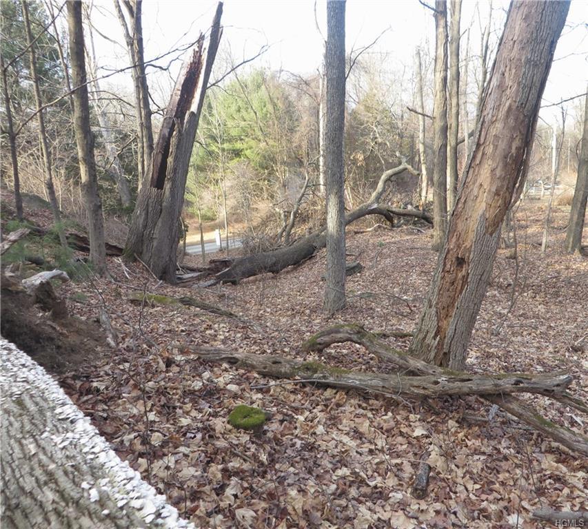 Grist Mill Road - Photo 1