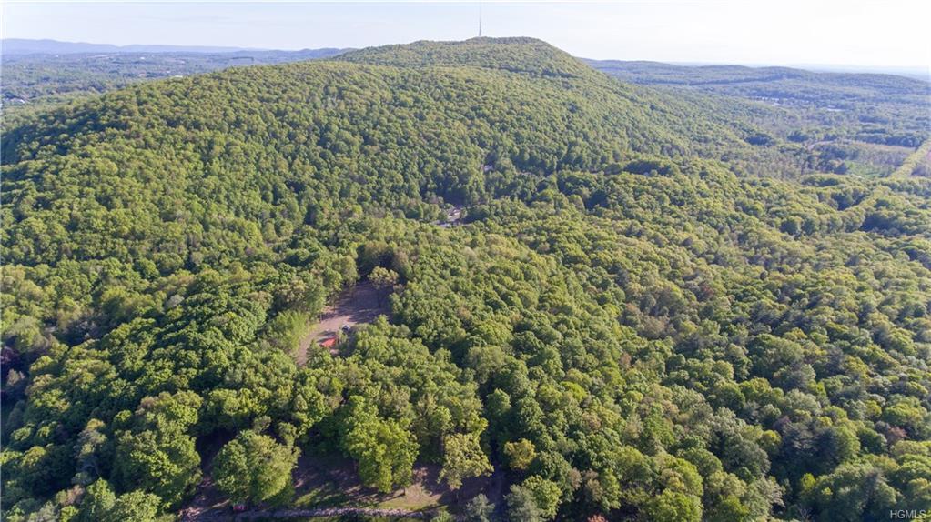 New Paltz Road - Photo 1
