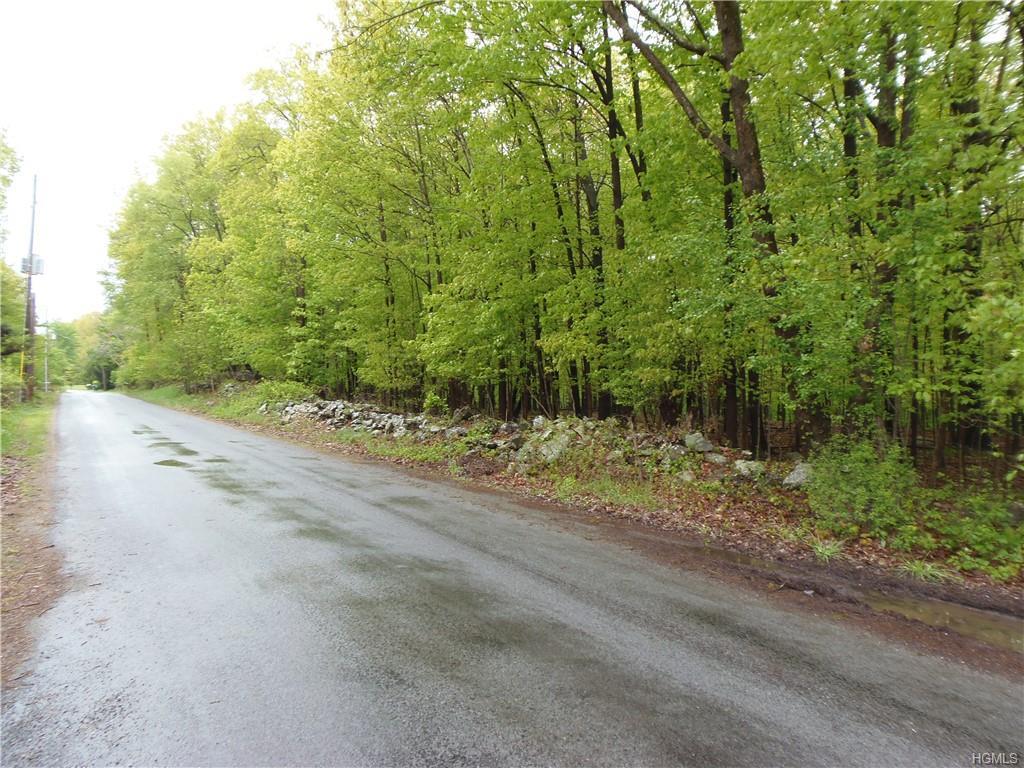 LOT 2 Bisch Road - Photo 1 LOT 2 Bisch Road - Photo 1