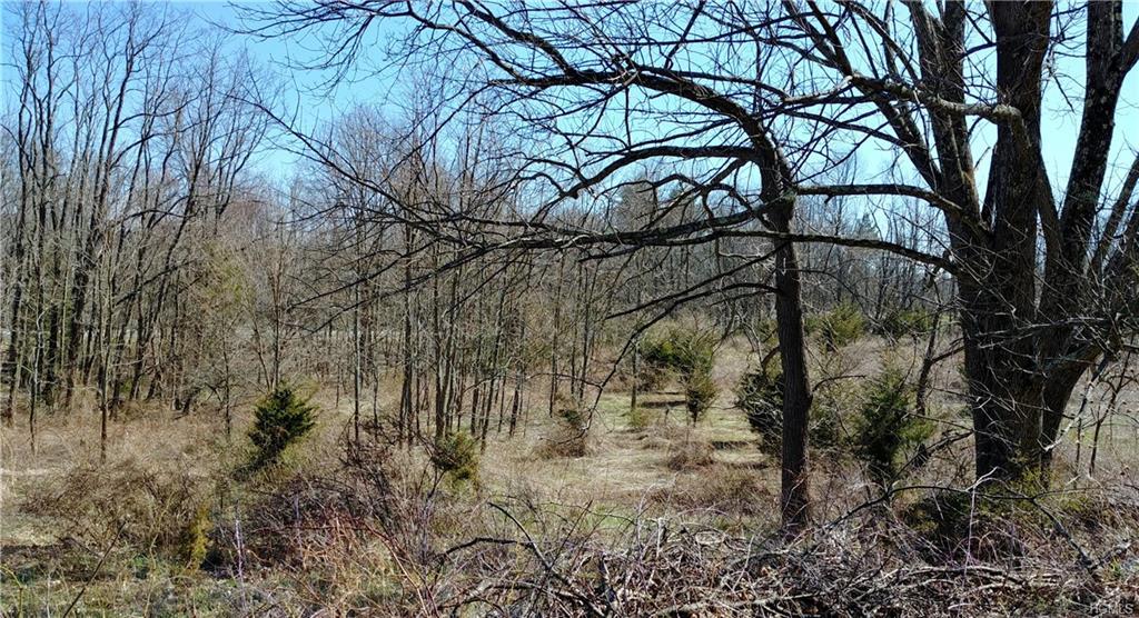 0 Lindsay Lane - Photo 1