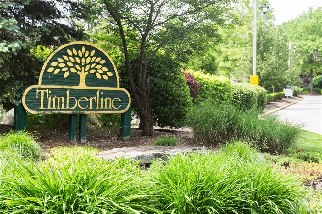 30 Timberline Drive - Photo 1
