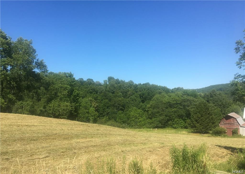 Hessinger Lare & Old Danzer Road - Photo 1