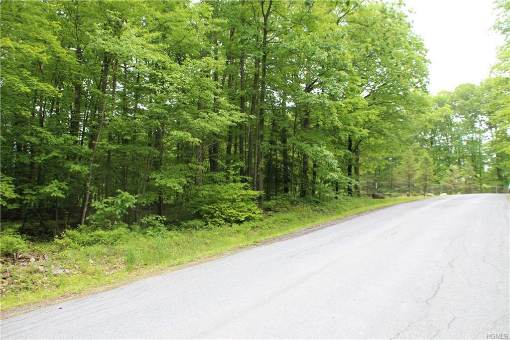 TBD Lewis Landing Road - Photo 1