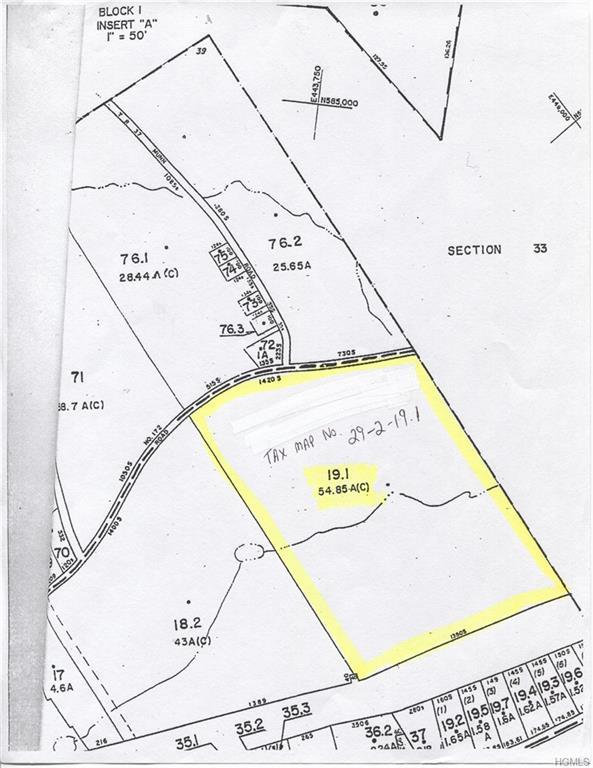 Wurtsboro Mountain Road - Photo 1