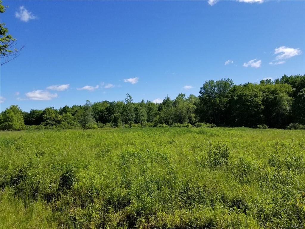 ** Mount Hope Road - Photo 1