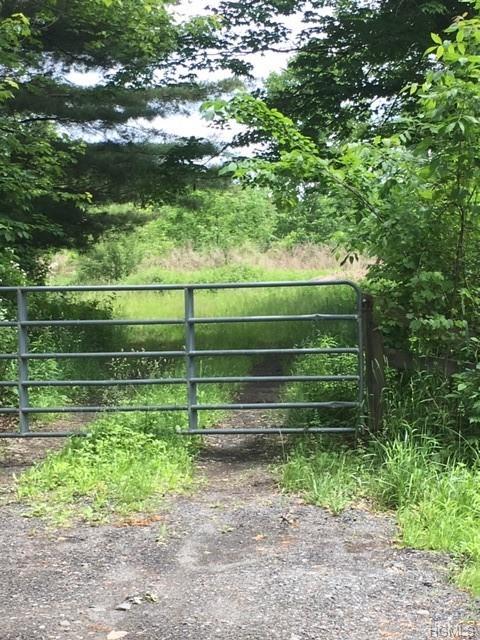 99 Youngs Lane - Photo 1