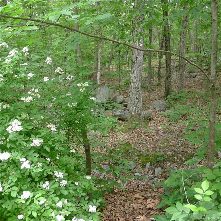 35 Oak Hill Road - Photo 1