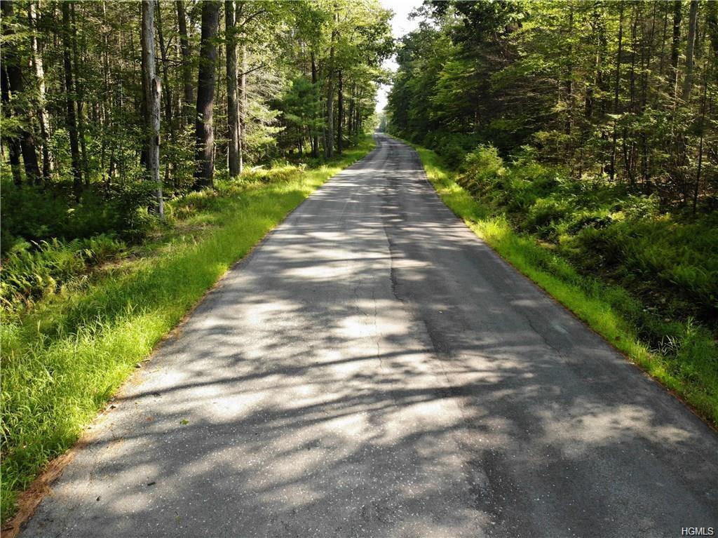 * French Clearing Road - Photo 1 * French Clearing Road - Photo 1